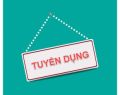 Công ty CP Tập đoàn xây dựng Hòa Bình tuyển dụng nhân sự